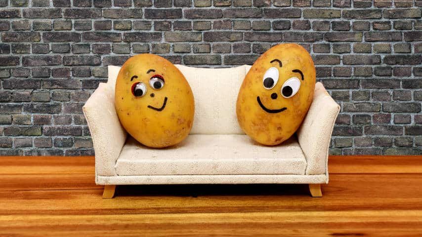 Decoding English Idioms: Unveiling Linguistic Quirks. Illustration of two potatoes over a couch by Alexa at Pixabay. Pixabay License. https://pixabay.com/photos/wood-couch-potatoes-fun-potatoes-3119970/