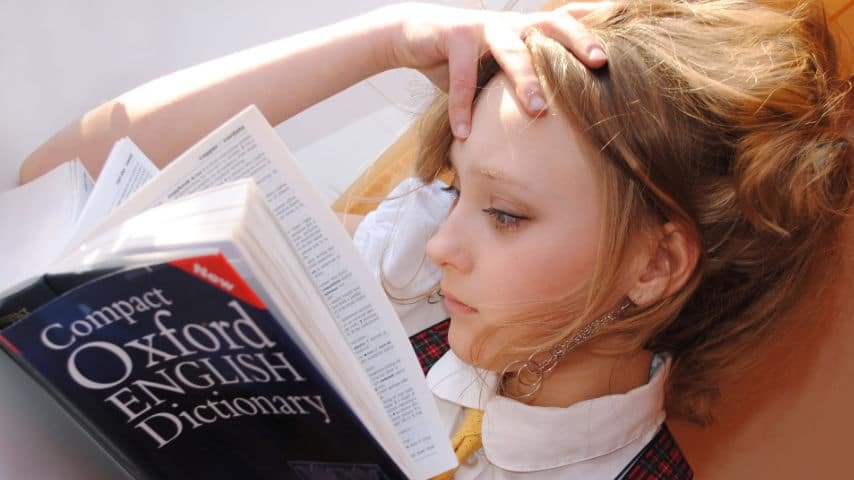 British Slang: Don't Get Lost in Translation! Worried girl reading the Oxford English Dictionary. Photo by libellule789 at Pixabay. Pixabay License. https://pixabay.com/photos/girl-english-dictionary-read-2771936/